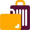 Pre-book baggage option for secure flight booking